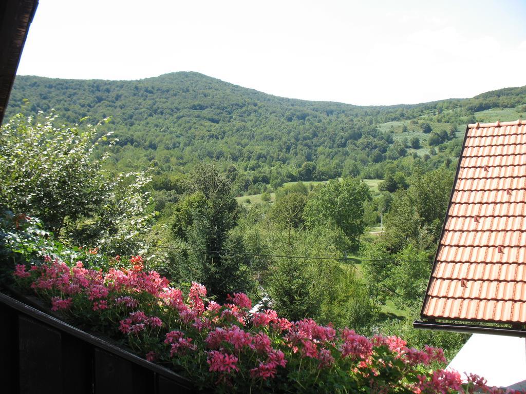 منزل الضيف سيليست دريزنيكو  في House Zlatko المظهر الخارجي الصورة